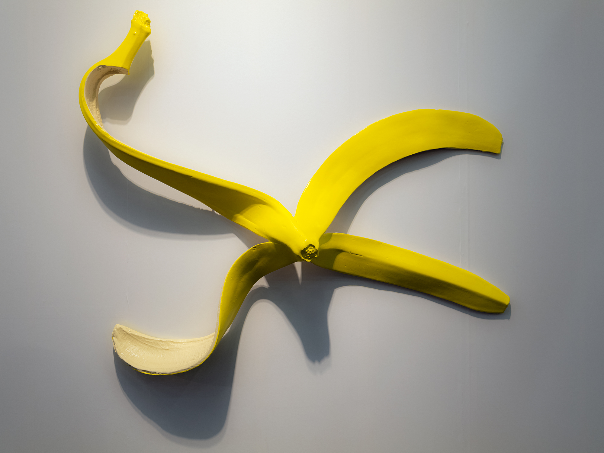 Bananenschale ArtCologne 19 1060724