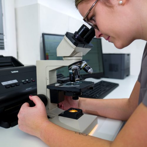 Labor Stereomikrokop Pietsch Schiffgens 620